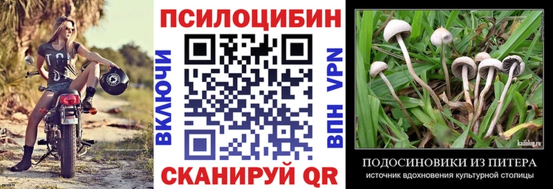 OMG вход  закладки  Зима  Псилоцибиновые грибы Psilocybe 